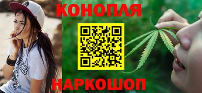 сатива Бийск