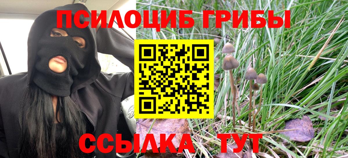 Псилоцибиновые грибы Magic Shrooms Камышлов