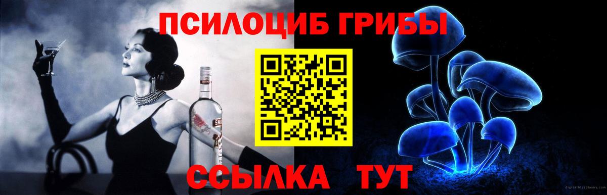 Камышлов  Псилоцибиновые грибы мухоморы  Вход с VPN  Галлюциногенные грибы прущие грибы 